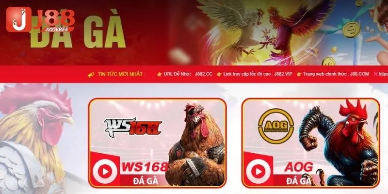 Các sảnh game đá gà có tại J88