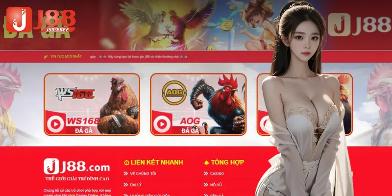 Đá gà J88: Đấu trường kịch tính, cược đã tay với gà chiến thật